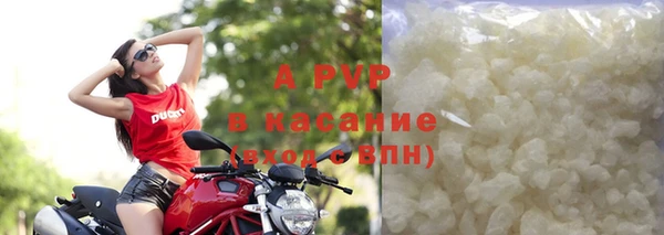 стафф Белокуриха