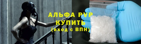 стафф Белокуриха