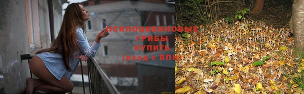 соль ск Беломорск