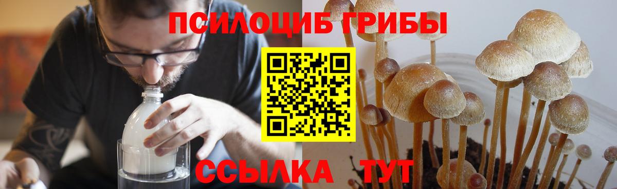 Бутурлиновка  Псилоцибиновые грибы Psilocybine cubensis  Вход с VPN 